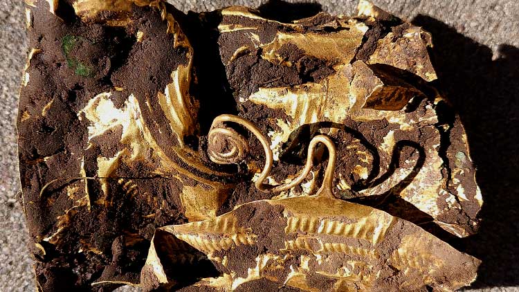 Pri kopaní repy našiel 4000ročný poklad