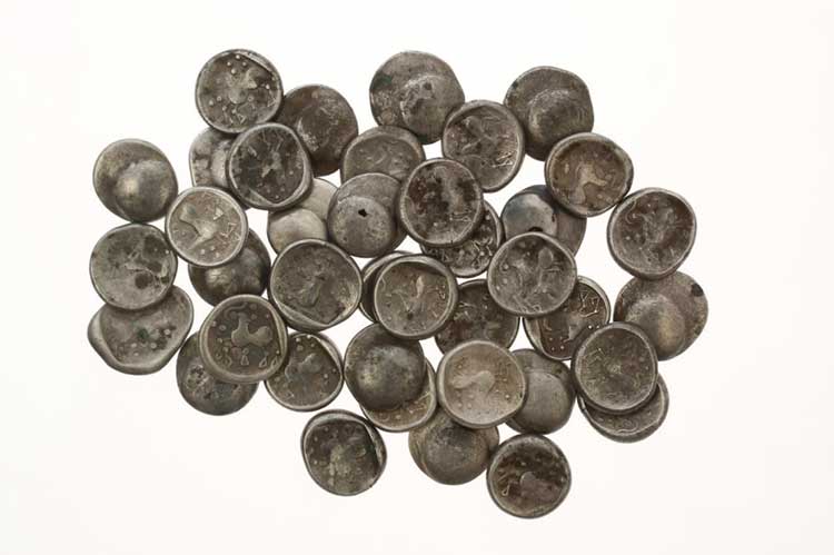 mince nájdené vďaka lykožrútovi