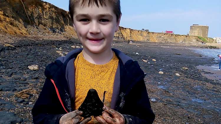 clanok-zub-prehistorickeho-lovca-velryb-vyplavilo-more-detektory-nox-a Zub megalodona, ktorý našiel Sammy